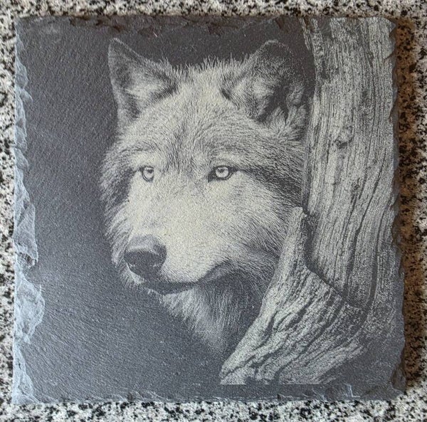 Loup sur ardoise