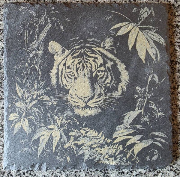 Tigre sur ardoise