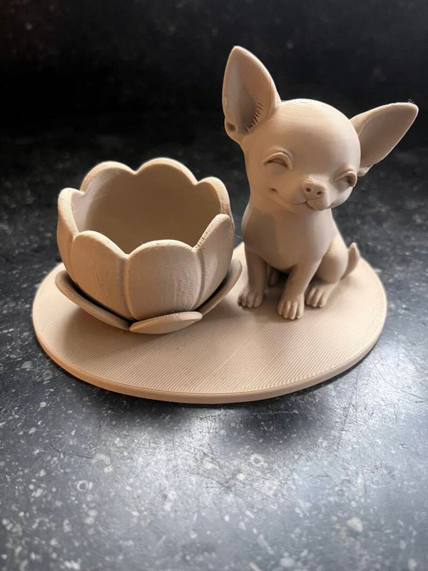 Chihuahua met led