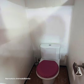 20240723_114437-standard.jpg