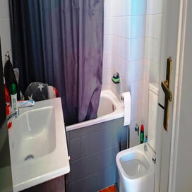 20250528_114152-standard.jpg