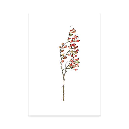 Rose Hips kaart