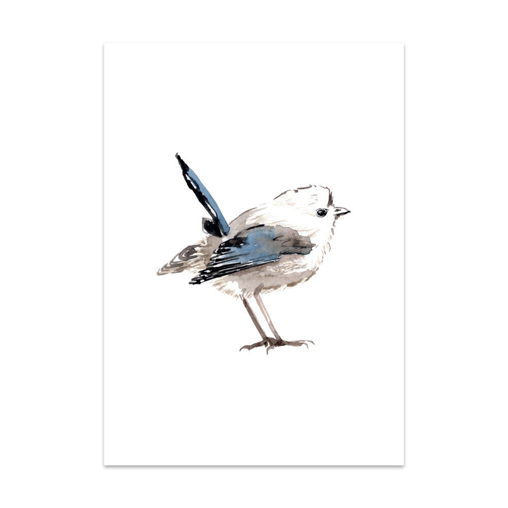 Vogel Prachtelfje kaart