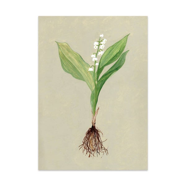 Lelietje-van-Dalen kaart • geboortebloem mei