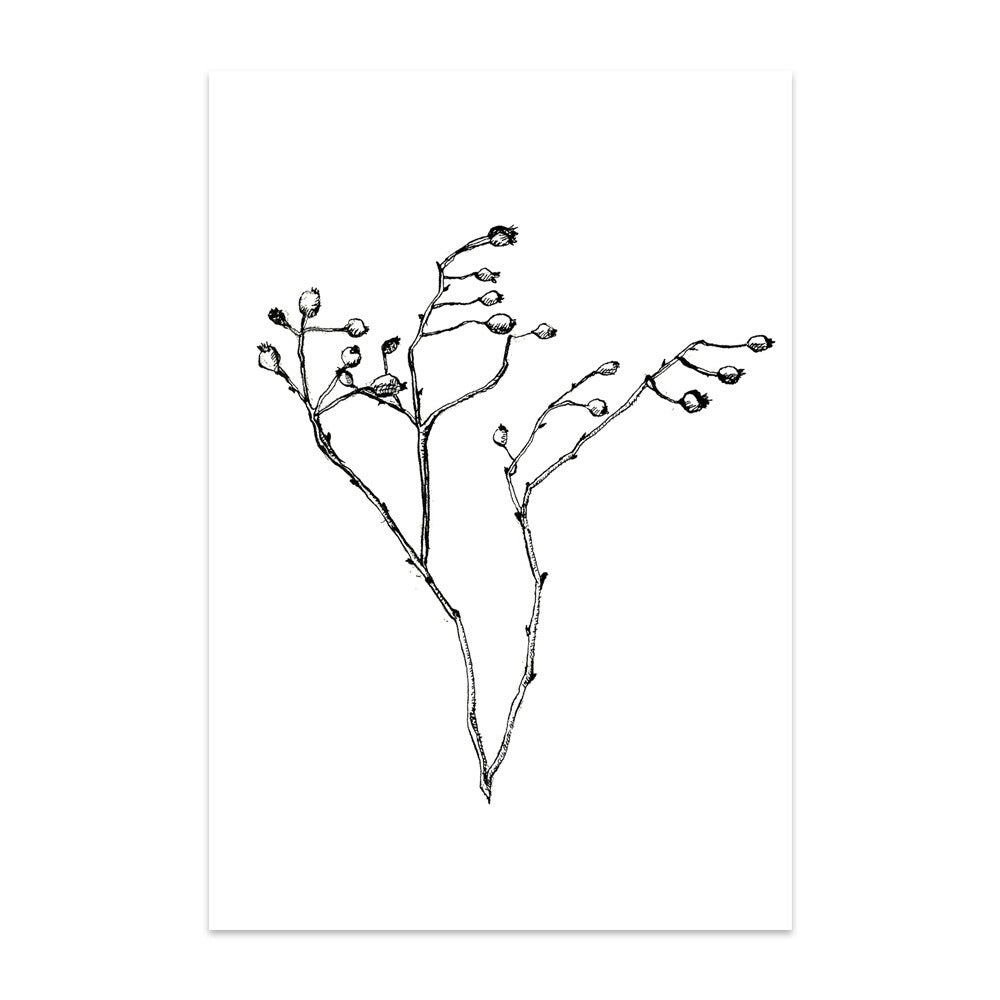 Rosa Fair Jewel kaart