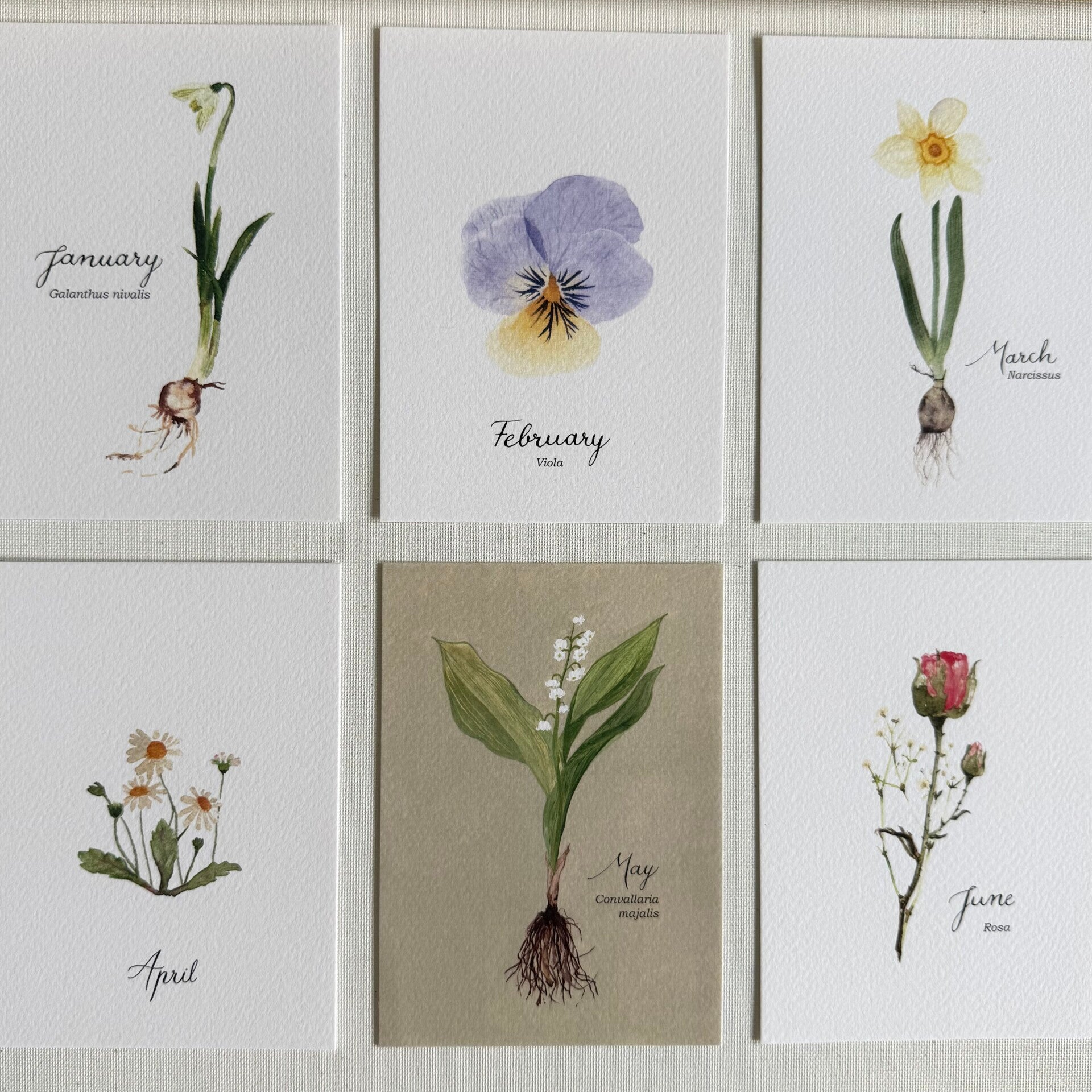 Geboortemaand bloemen januari-juni