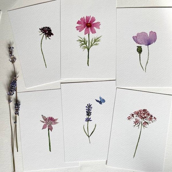 Set Summer Favourites kaarten losse bloemen