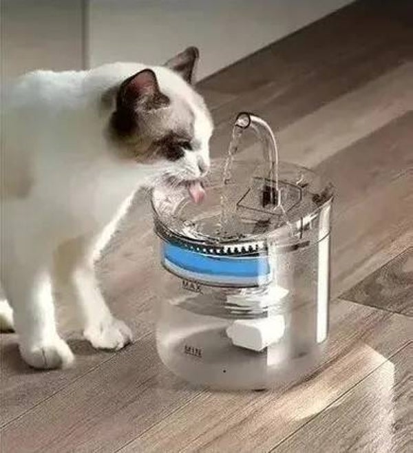Fuente de Agua para Mascotas con Filtro – Bebedero Automático