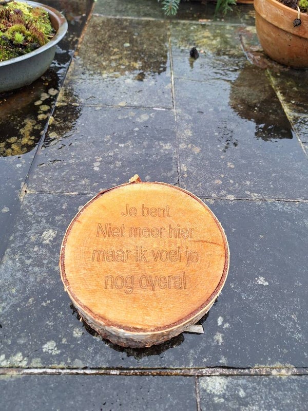 Boomschijf 25/30 centimeter