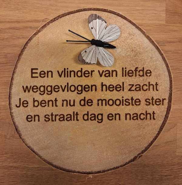 Boomschijf 25/30 centimeter