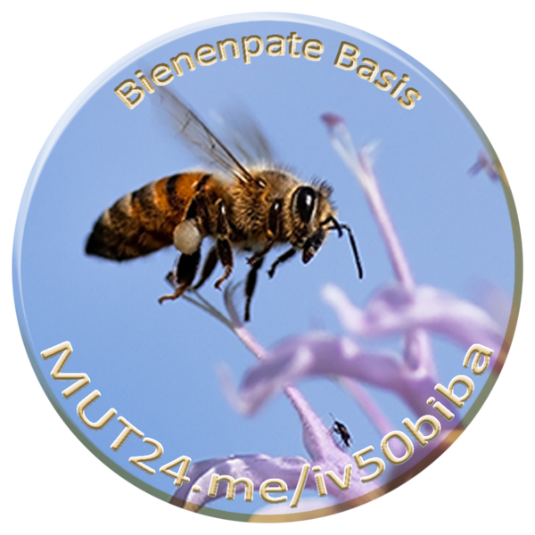 Bienenpate Basis 10