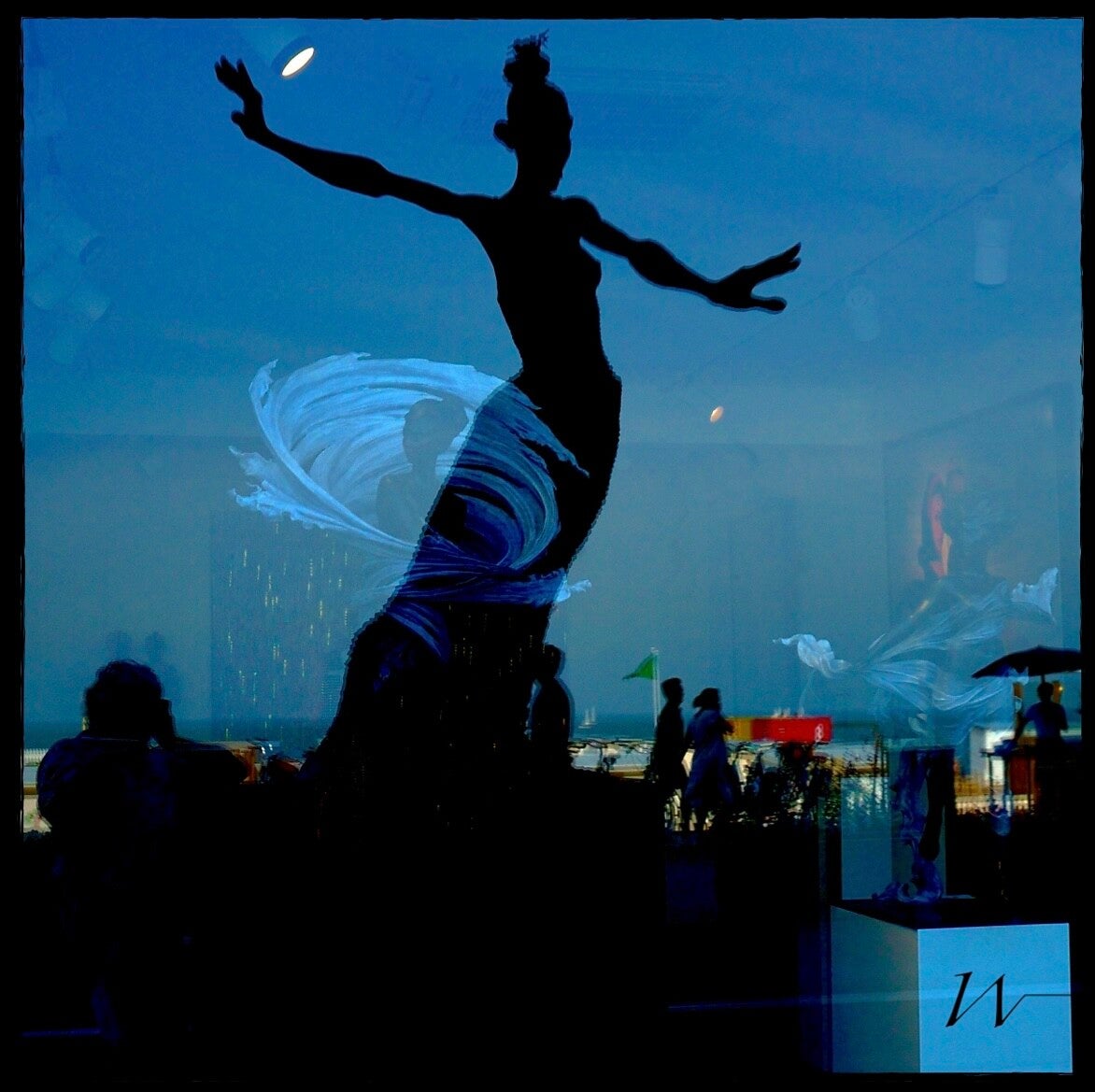 Vitrine Photographie Reflet du monde