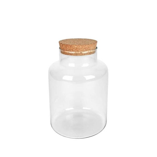 Glasvaas met kurkdop