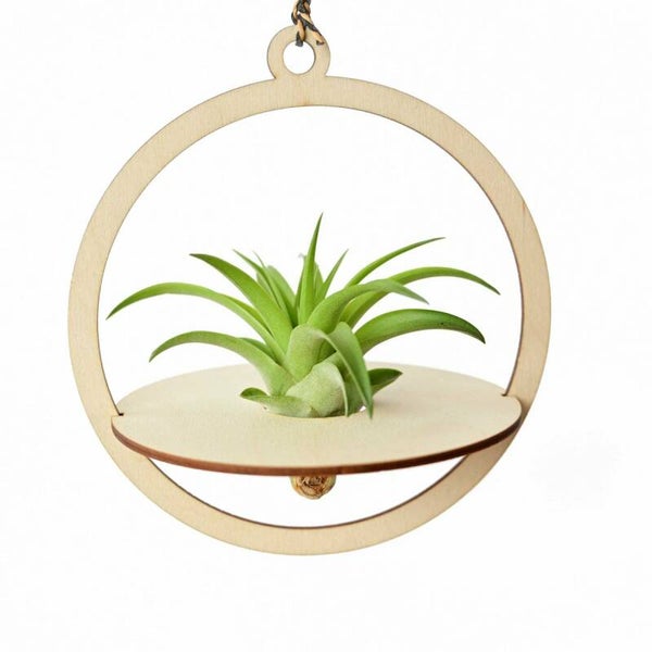 Luchtplant hanger
