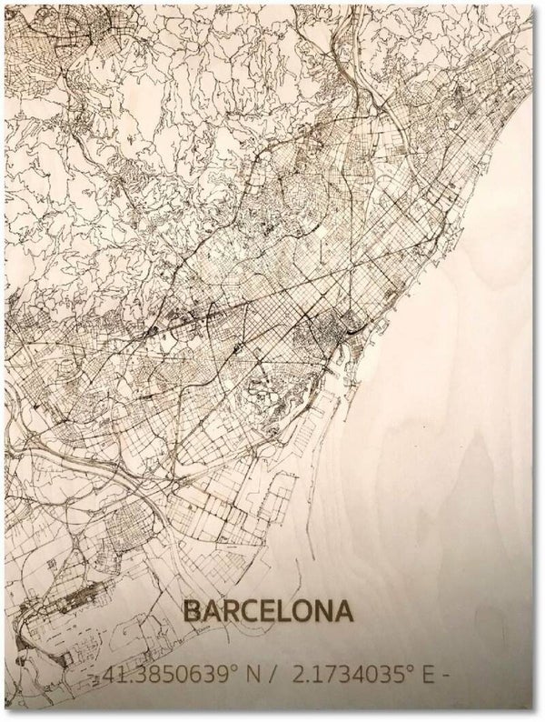 Unieke full detail citymap van Barcelona