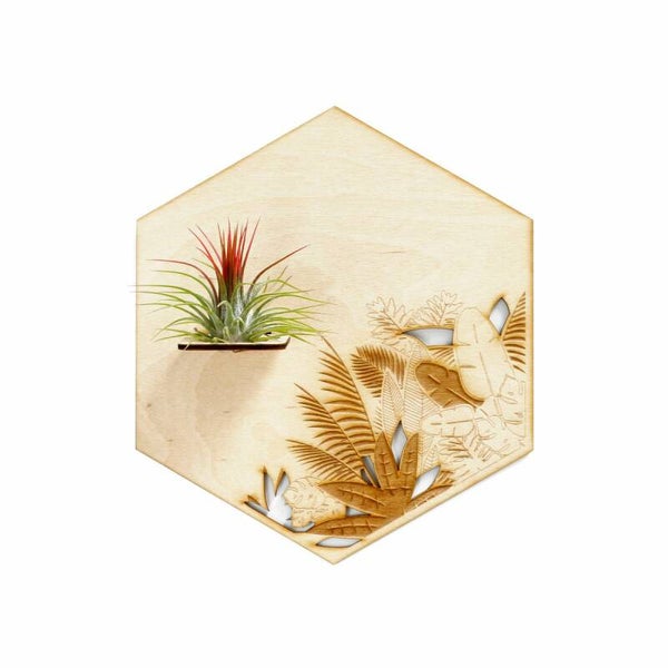 Jungle houder voor tillandsia