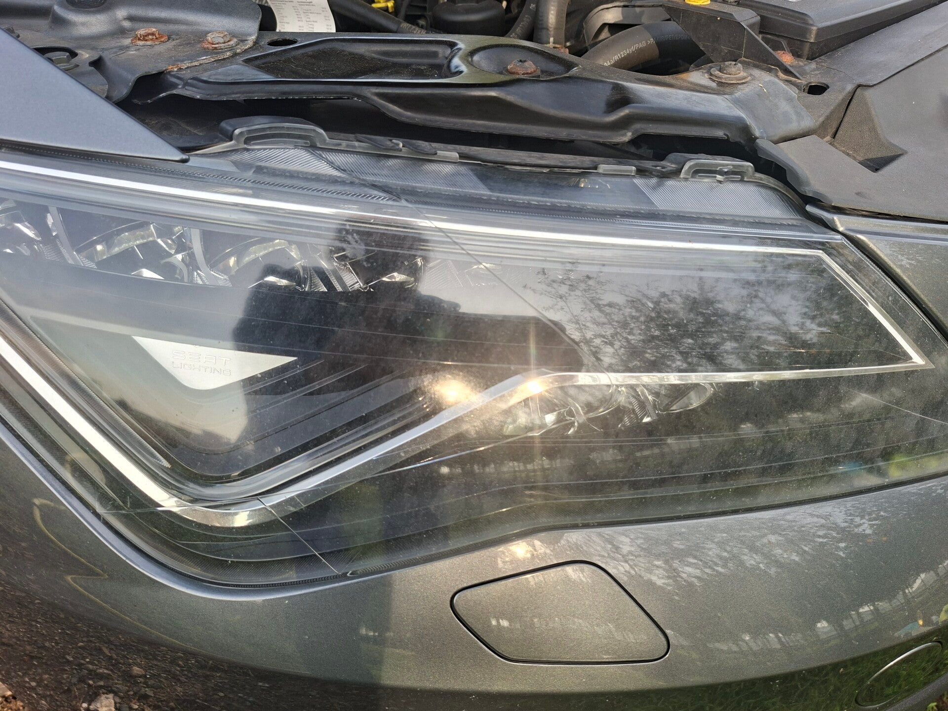 Doffe kloplampen seat leon