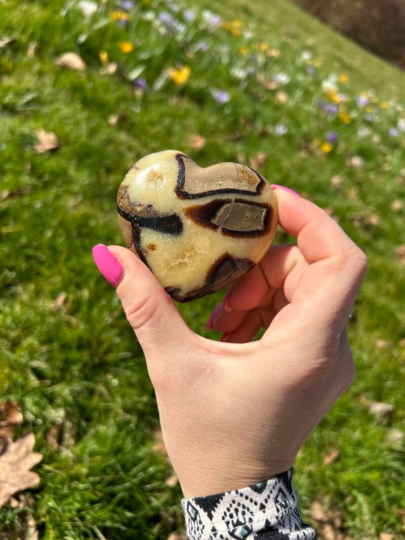 Septarie Hart