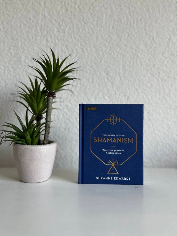 Boek 100