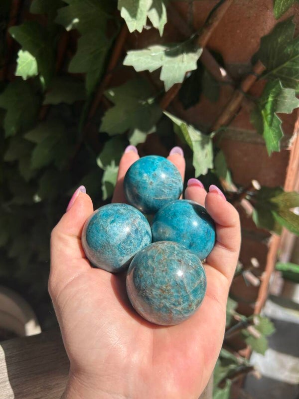 Apatiet Bollen