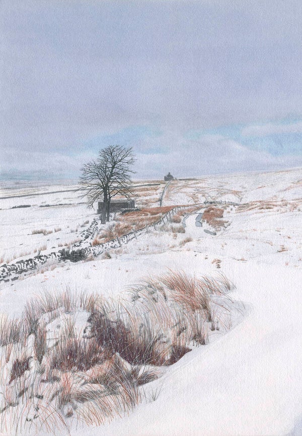 Coalcleugh in the Snow