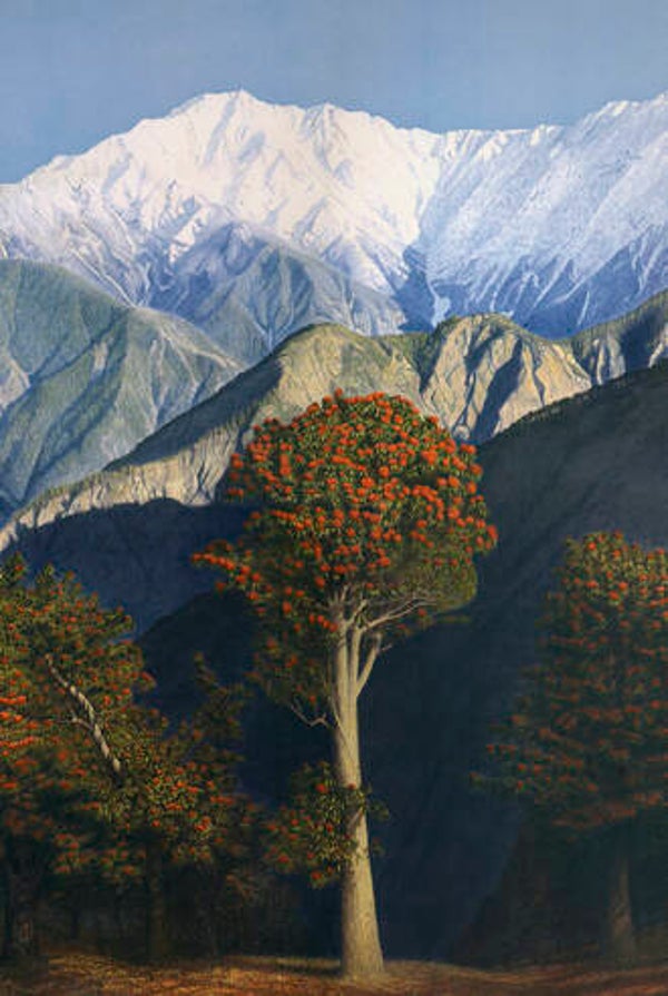 Rhododendron