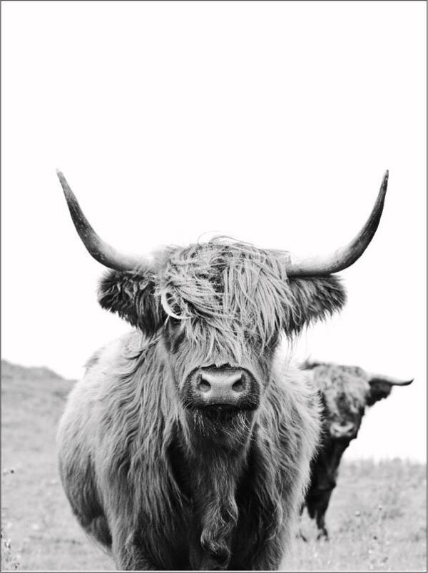 Kaart ‘hooglander 3’