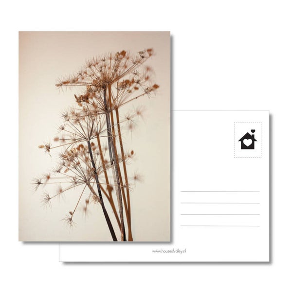 Kaart ‘berenklauw 2’