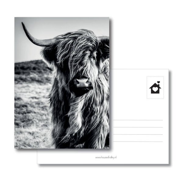 Kaart ‘hooglander 2’