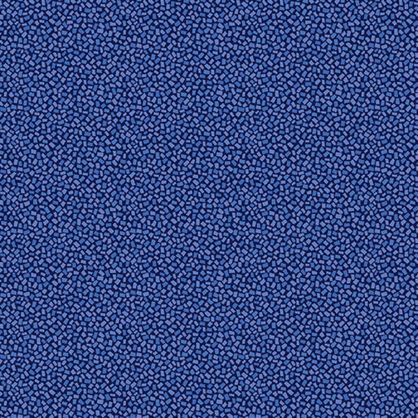 Blue Rhapsody, Dash Geo Navy