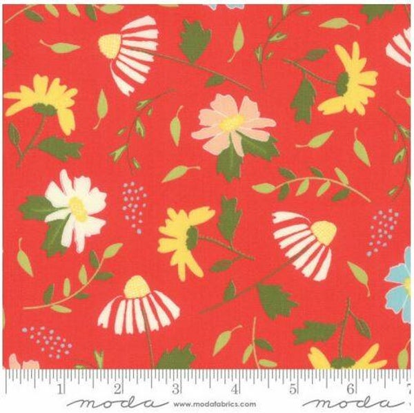 Clover Hollow - Moda Fabrics - Sherri & Chelsi