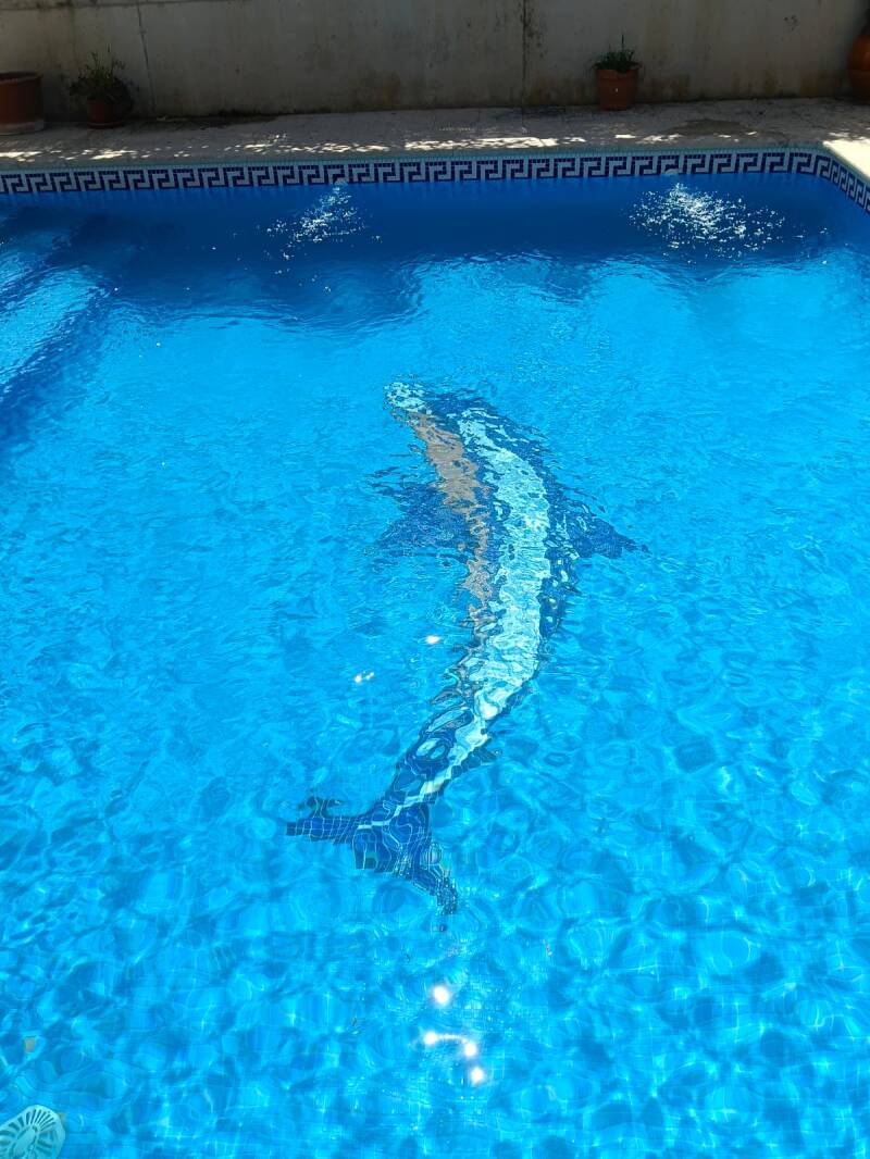 Mantenimiento de piscinas en Murcia