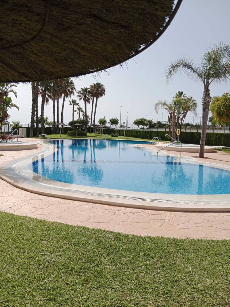 Mantenimiento de piscinas y jardines en Murcia