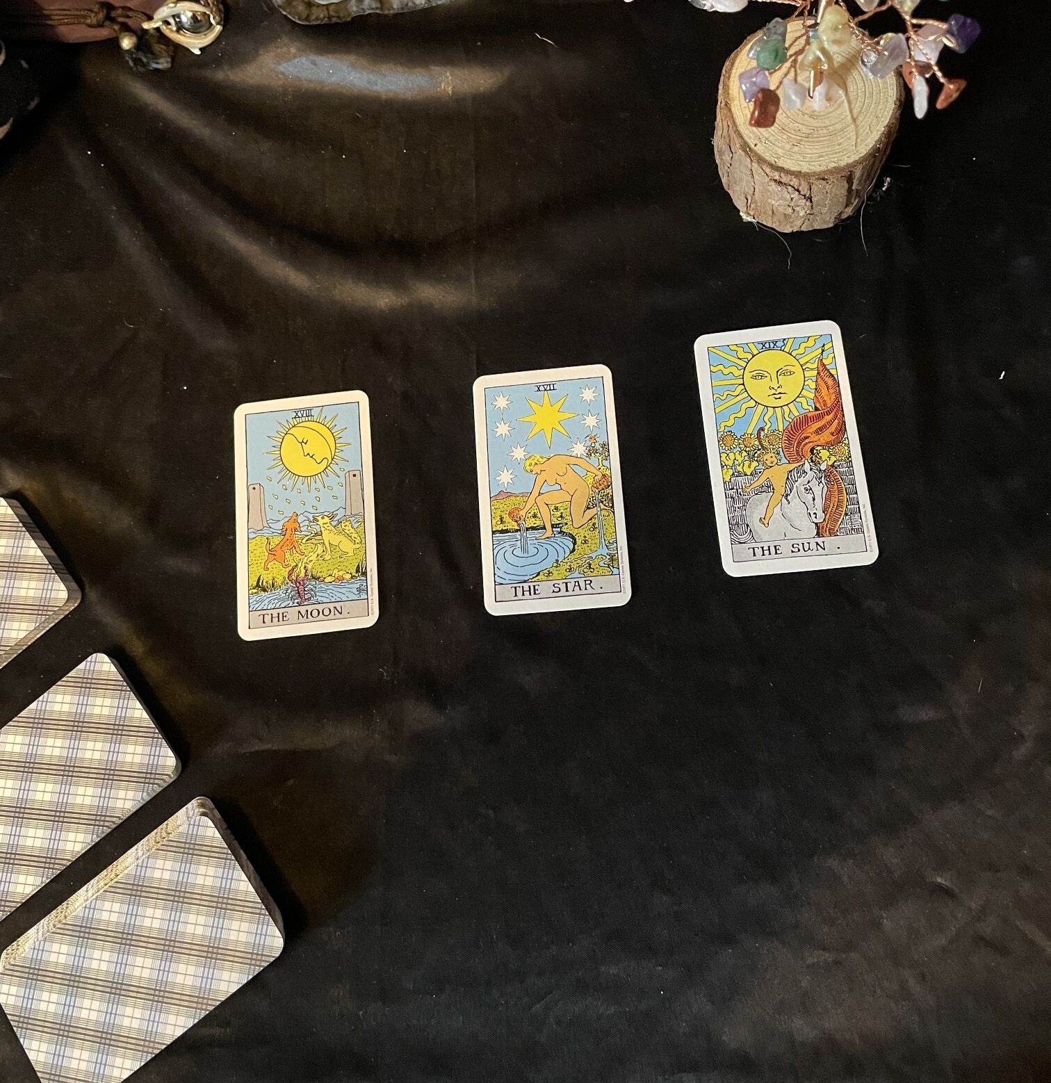 The Vibrant Vitality Check-In