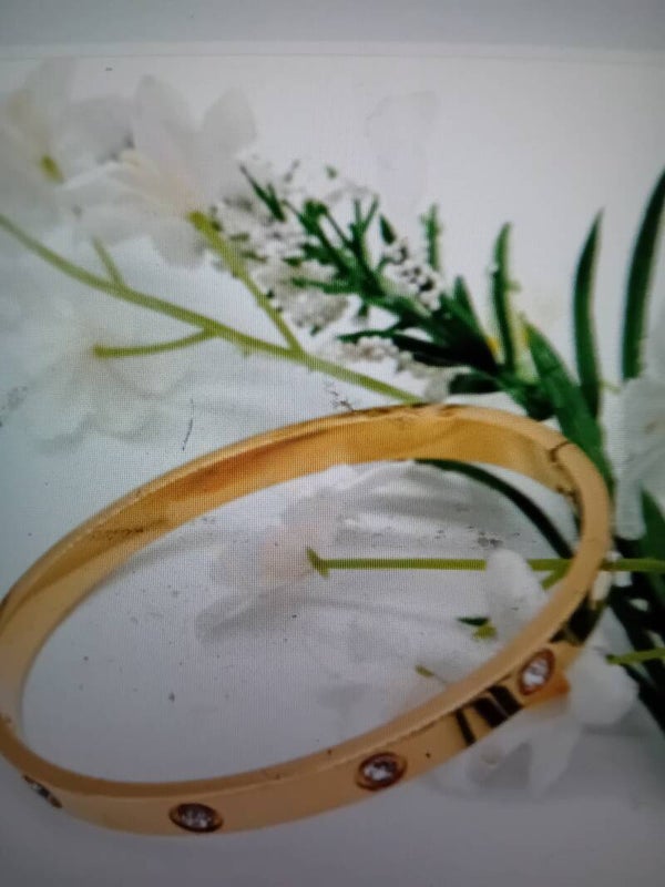 Gold stainless steel love Bangle