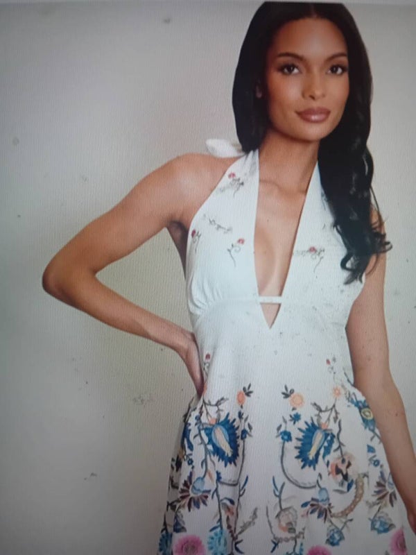 plunge neck embroidered mini dress