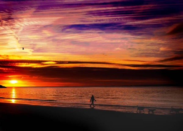 Dawn Walk