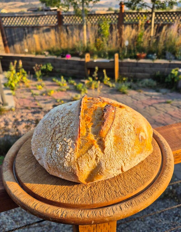Roasted Garlic and Tomato Sourdough