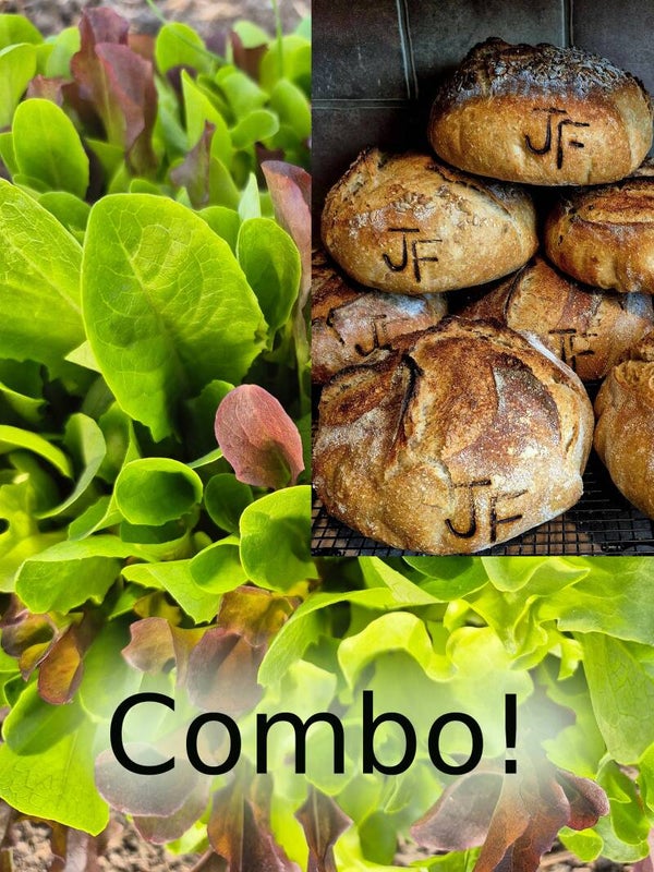 Salad and Any Bread Combo