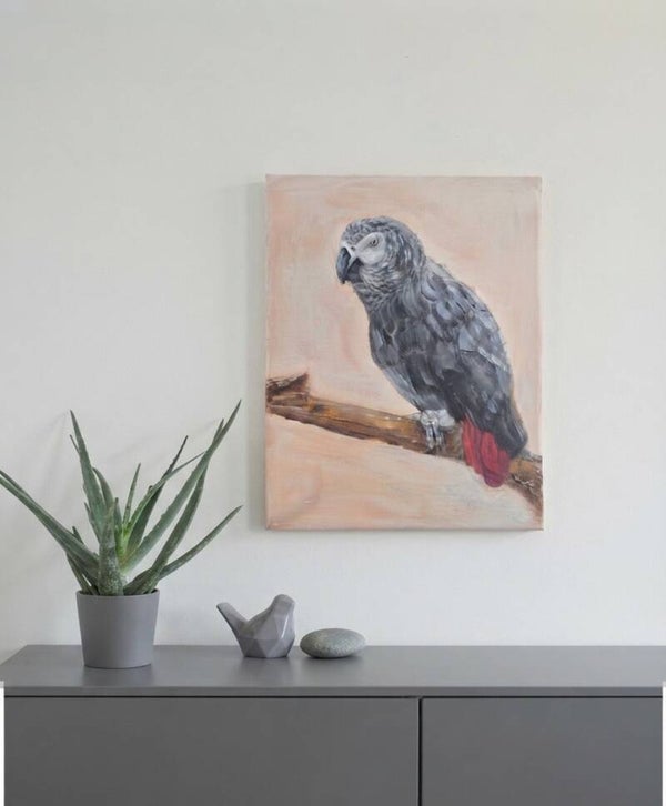 Handgeschilderd Papegaai op canvas