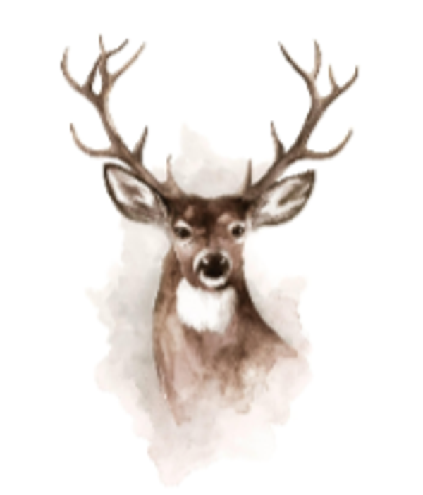 Watercolor Deer