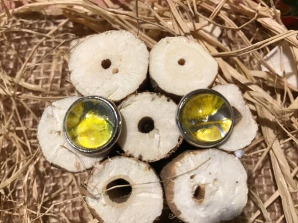 Boucles d’oreilles cabochon fleur séchée jaune