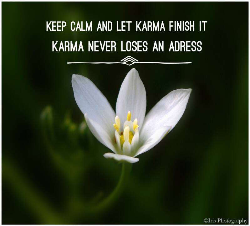 Quotes - Toon Hermans - Iris Photography