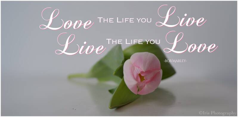  Quotes - Love - Iris Photography
