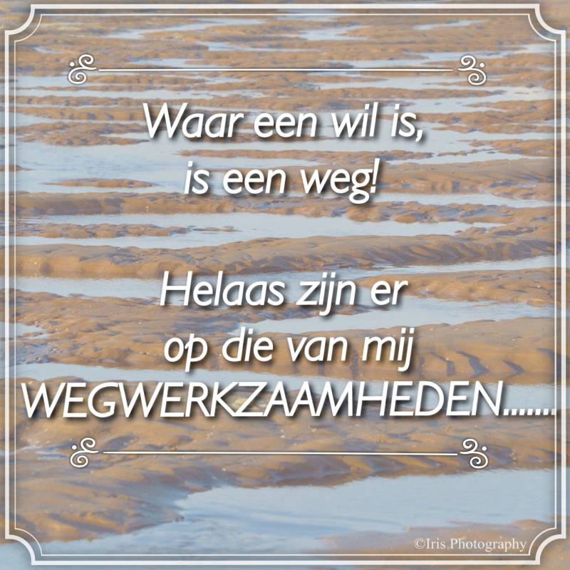 Chronische Pijn - Chronic Illness - Quotes - Iris Photography