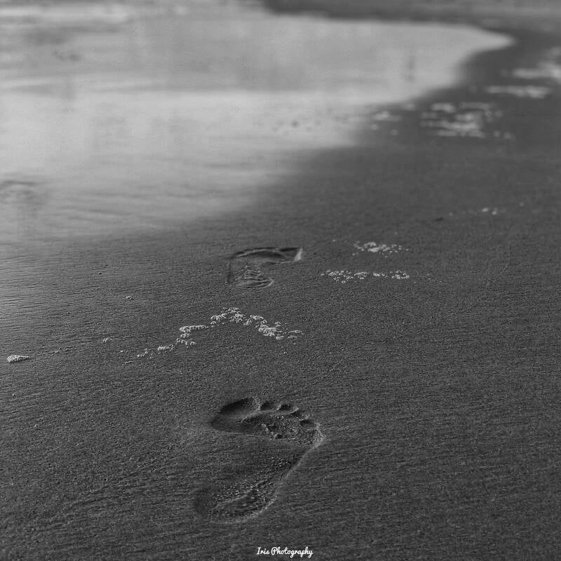 Je EIGEN pad volgen - Haasnoot Blogger - Iris Photography