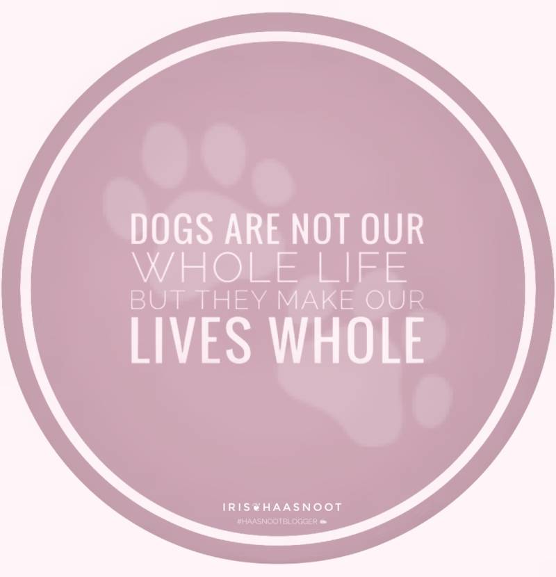 Quotes - Honden - Dogs  - Rescue dogs - Adoptnotshop - Iris Photography