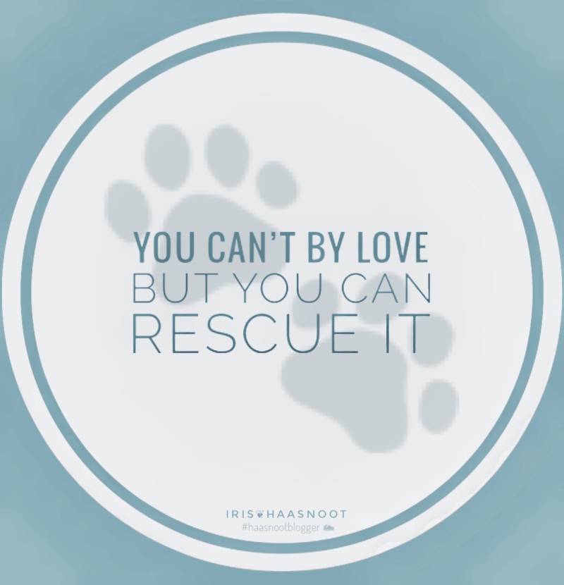 Quotes - Honden - Dogs  - Rescue dogs - Adoptnotshop - Iris Photography