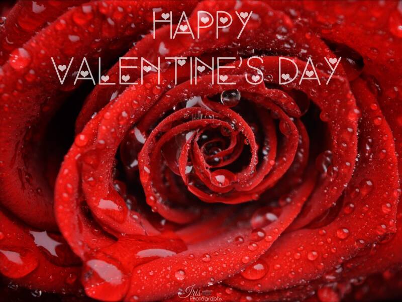 Happy Valentinesday - Quotes - Love - Iris Photography