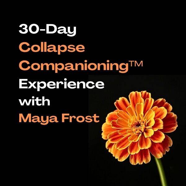 Collapse Companioning Experience
